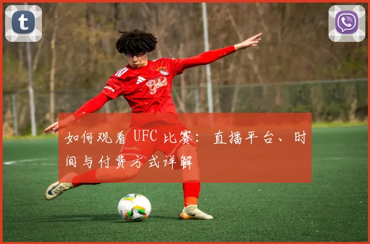 如何观看 UFC 比赛：直播平台、时间与付费方式详解
