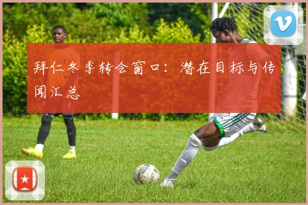 拜仁冬季转会窗口:潜在目标与传闻汇总